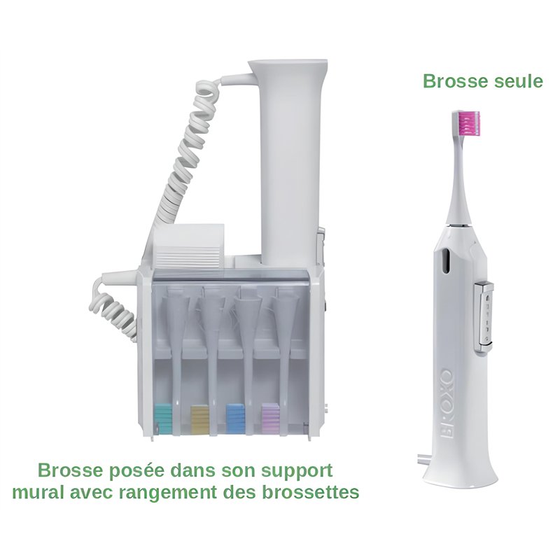 Image secondaire de Broxo Orabrush brosse à dents-gencives mécanique (oscillation verticale) et sonique (à cavitation hydrodynamique) + le protège-c