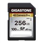 Gigastone Carte Mémoire SDXC 256 Go
