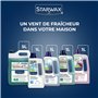 STARWAX - Nettoyant Multi-Usages - Parfum Fleur des Bois - Nettoie, Dégraisse, Désodorise - Longue Durée - Formule Concentrée - 
