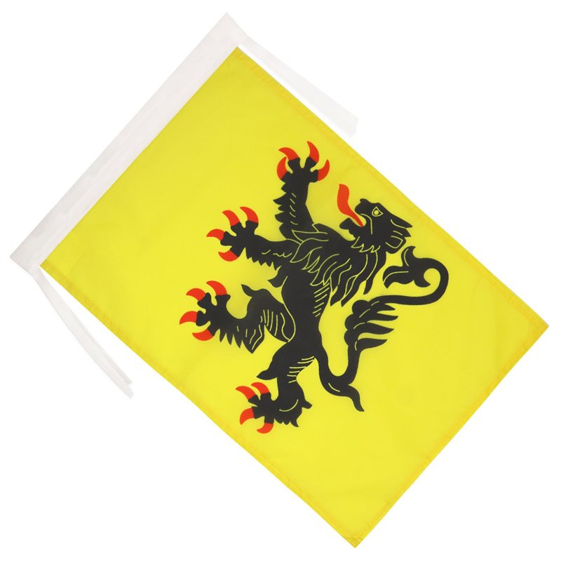 Image secondaire de AZ FLAG - Drapeau Nord-Pas-de-Calais - 45x30 cm - Pavillon Province Flandre Française 100% Polyester Avec Deux Cordelettes - 20g