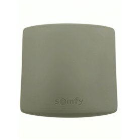 SOMFY – Commande universelle 1841022 M. RTS de radio de 2 canaux Récepteur de radio