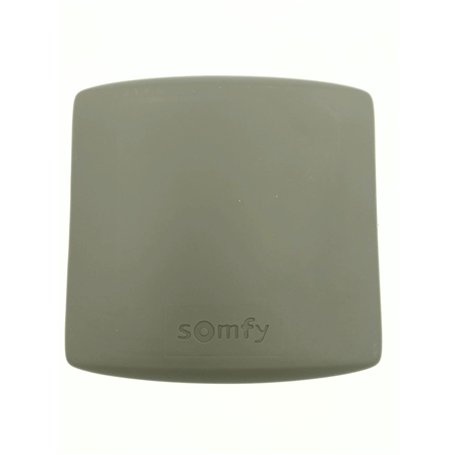 SOMFY – Commande universelle 1841022 M. RTS de radio de 2 canaux Récepteur de radio