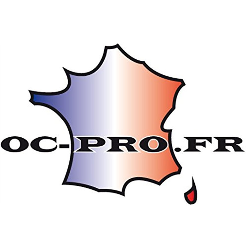 Image secondaire de OC-PRO Pinces (+ et -) DE DEMARRAGE Laiton 300 AMPERES LOT 2 Pinces