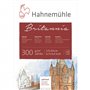 Hahnemuhle Britannia 300gsm Block - 17 x 24cm Hot Pressed