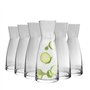 Bormioli Rocco Ypsilon Carafe Décanteur 550ml - Lot de 6