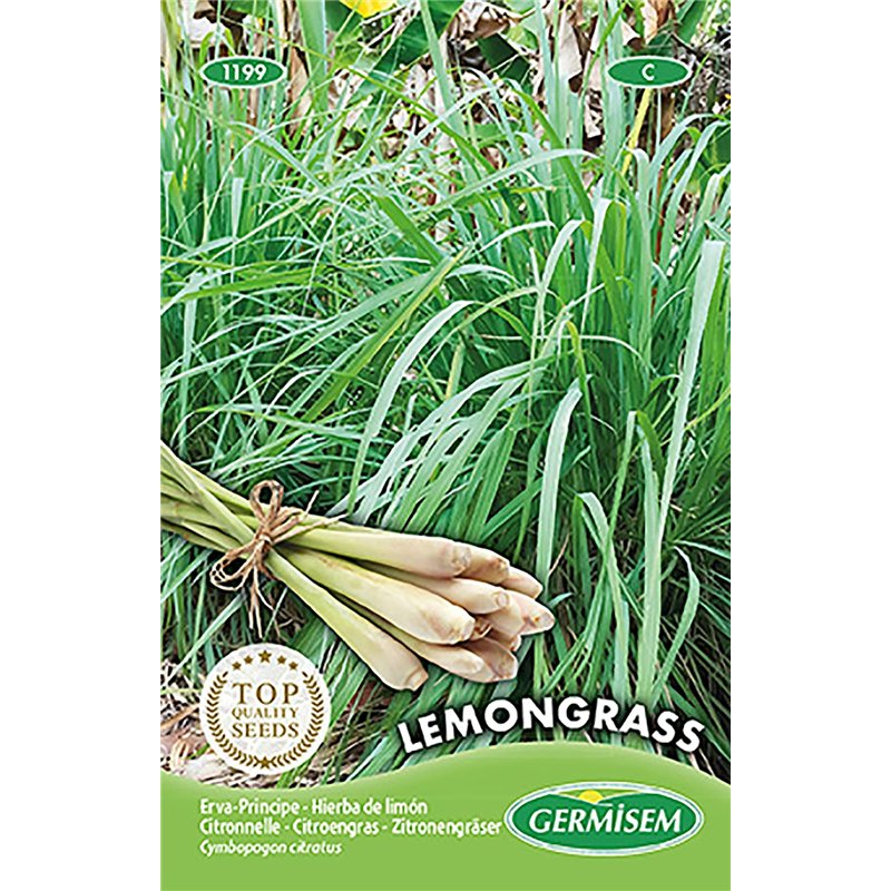 Lemongrass Seeds