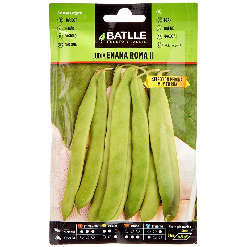 Semences horticoles de Batlle - Haricot nain Rome Perona (25g), Blanc