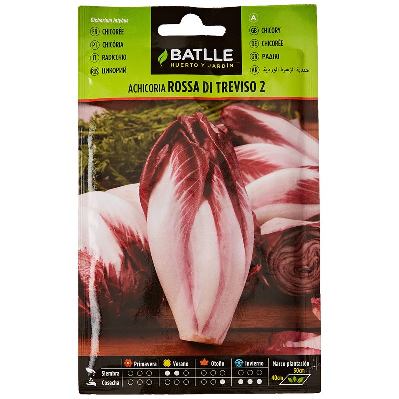Semences potagères de Batlle - Chicorée Rossa di Treviso (8g)