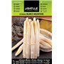 Semences horticoles de Batlle - Asperge blanc Argenteuil (4g)