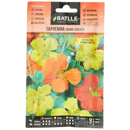 Batlle Capucine NAINE