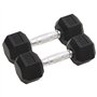vidaXL Haltères 2 pcs 12 kg Fonte