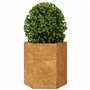 vidaXL Jardinières 2 pcs hexagone 46x40x45 cm Acier résistant aux intempéries, jardinière de Fleurs, jardinière de Patio, jardin