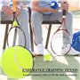 FOROREH 18pcs Balles de Tennis Avec Sac en Filet - Robustes et Rebondissantes Pour Adultes, Animaux de Compagnie, Compétition et