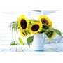 Lot de 20 graines de tournesol (Helianthus annus) bio non-OGM pour la maison Jardin Sunny Sun Flower Seeds Open Pollinated Seeds