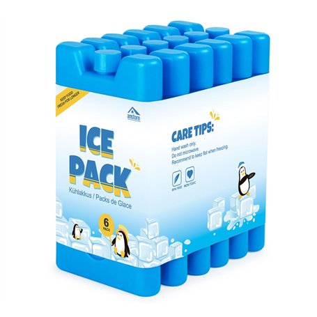 Anstore Lot de 6 Pains de Glace Blocs Réfrigérants de 16 x 9 x 2 cm/210 ML