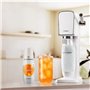 Concentrés SODASTREAM - Lot de 6 concentrés Agrumes sans sucres - Jusqu'a 54L de boissons - 440 ml