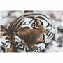 Cadre DKD Home Decor Tigre Colonial (80 x 1,8 x 40 cm) (2 Unités)