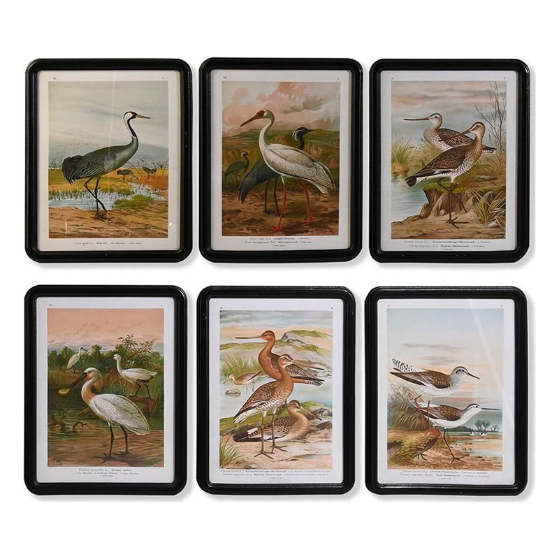 Cadre DKD Home Decor Verre Bois MDF Oiseaux (40 x 50 x 1,8 cm) (6 Unités)