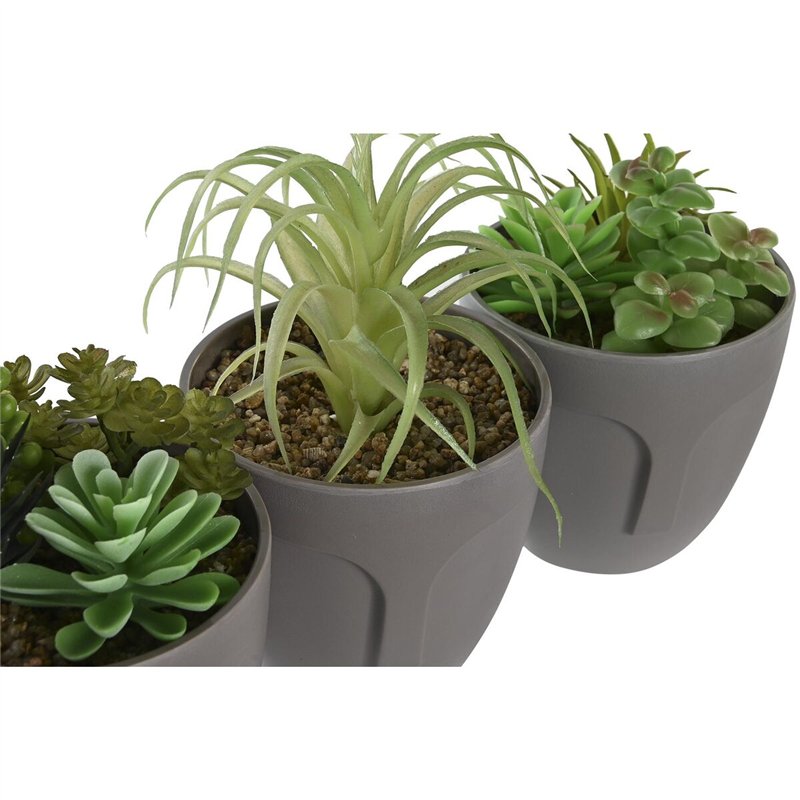 Image secondaire de Plante décorative DKD Home Decor Gris Beige Polyéthylène Vert polypropylène (11 x 11 x 15 cm) (3 Unités)