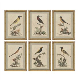 Cadre Home ESPRIT Beige Oiseau Shabby Chic 45 x 3 x 60 cm (6 Unités)