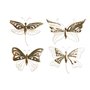 Décoration murale Home ESPRIT Doré Papillon 43 x 2 x 33 cm (4 Unités)