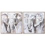 Cadre Home ESPRIT Blanc Marron Gris Eléphant Colonial 80 x 3