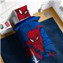 Jay Franco Marvel Spiderman Webtastic 100% Coton Ensemble Housse de Couette Lit Simple – Comprend Une Taie d’Oreiller 50 x 70 cm