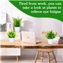 Purpledi 6 Pièces Mini Plantes Artificielles Verdure Plastique Faux Plantes avec Pot, Fausse Plante Interieur, Plante Artificiel