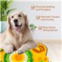 POWZOO Tapis de Fouille Chien-Tapis éducateurs Lavable à renifler-Alimentation Lente-Jouet Intelligent pour Chien-Stress Release