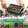 MOYKSRR Mini Serre pour Plantes, 10 Pièces 120 Cellules Intérieure Plateau Semis, Serre Intérieure Pépinière Boîte Propagateur J