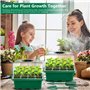 MOYKSRR Mini Serre pour Plantes, 10 Pièces 120 Cellules Intérieure Plateau Semis, Serre Intérieure Pépinière Boîte Propagateur J