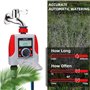 2 Sorties Irrigation Programmateur Arrosage Jardinage Quotidien avec Capture de Pluie