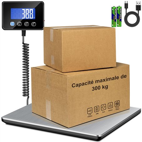 RAOYAN Balance Colis 300kg avec Haute Précision 20g