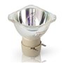 Aimdio Ampoule Lampe de projecteur pour Optoma HD142X HD27 DX349 S341 X341 HD240Wi DAESSHG DAXSHG W340 X355 X345 W345 W341 W344