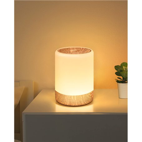 FOMYHEARD Lampe de Chevet de Table Tactile Dimmable