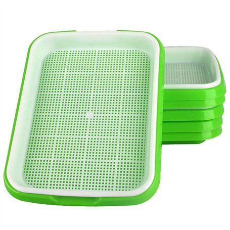 Fuuner germoir pour graines à germer