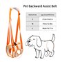 RICHDMI Harnais de Transport pour Chien, Harnais pour Pattes Arrière, Aide à La Marche de Levage Gilet de Traction pour Les Chie
