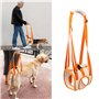 RICHDMI Harnais de Transport pour Chien, Harnais pour Pattes Arrière, Aide à La Marche de Levage Gilet de Traction pour Les Chie