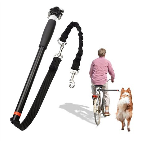 BORDEAG Laisse pour Chien De Vélo