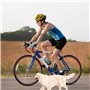 BORDEAG Laisse pour Chien De Vélo, Pet Dog Bicycle Leash, Laisse d'exercice pour Chien Mains Libres, Laisse Rétractable en Acier