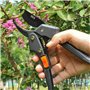 secateur de jardin