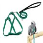 ASOCEA Harnais Et Laisse Pour Oiseaux Perroquet Attache RéGlable En Plumes Volant En Nylon Corde De Marche ExtéRieure Anti-Morsu