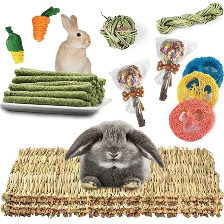 Lot de 2 tapis d'herbe pour lapin avec divers jouets à mâcher en forme de lapin