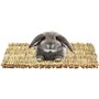 Lot de 2 tapis d'herbe pour lapin avec divers jouets à mâcher en forme de lapin, tapis de lit tissé naturel pour cochon d'Inde,
