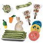 Lot de 2 tapis d'herbe pour lapin avec divers jouets à mâcher en forme de lapin, tapis de lit tissé naturel pour cochon d'Inde,