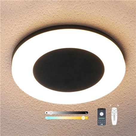 Sytmhoe Plafonnier Extérieur Étanche Porte d Entrée Terrasse 18W 2700-6500K Variable Dimmable Avec Télécommande Et Application