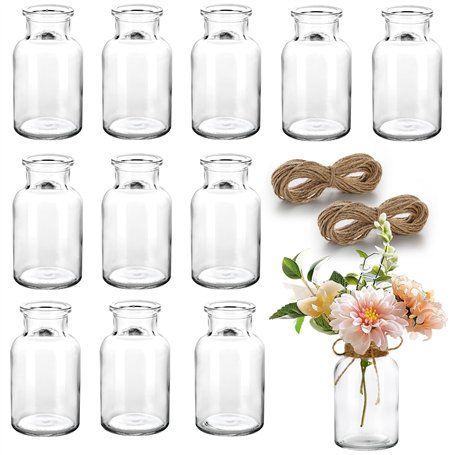 Otauoaea Lot de 12 Mini Vases en Verre