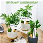 Etiquettes pour Plantes, 100 Pièce Imperméables Etiquettes Plantes avec 1 Stylo, Étiquettes en Plastique Durables, Etiquette Sem