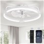 ZMISHIBO Ventilateur de Plafond avec Lumière et Télécommande