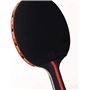 HAFERL Kit de tennis de table avec 2 raquettes et 3 balles dans un sac, idéal pour les enfants et les adultes